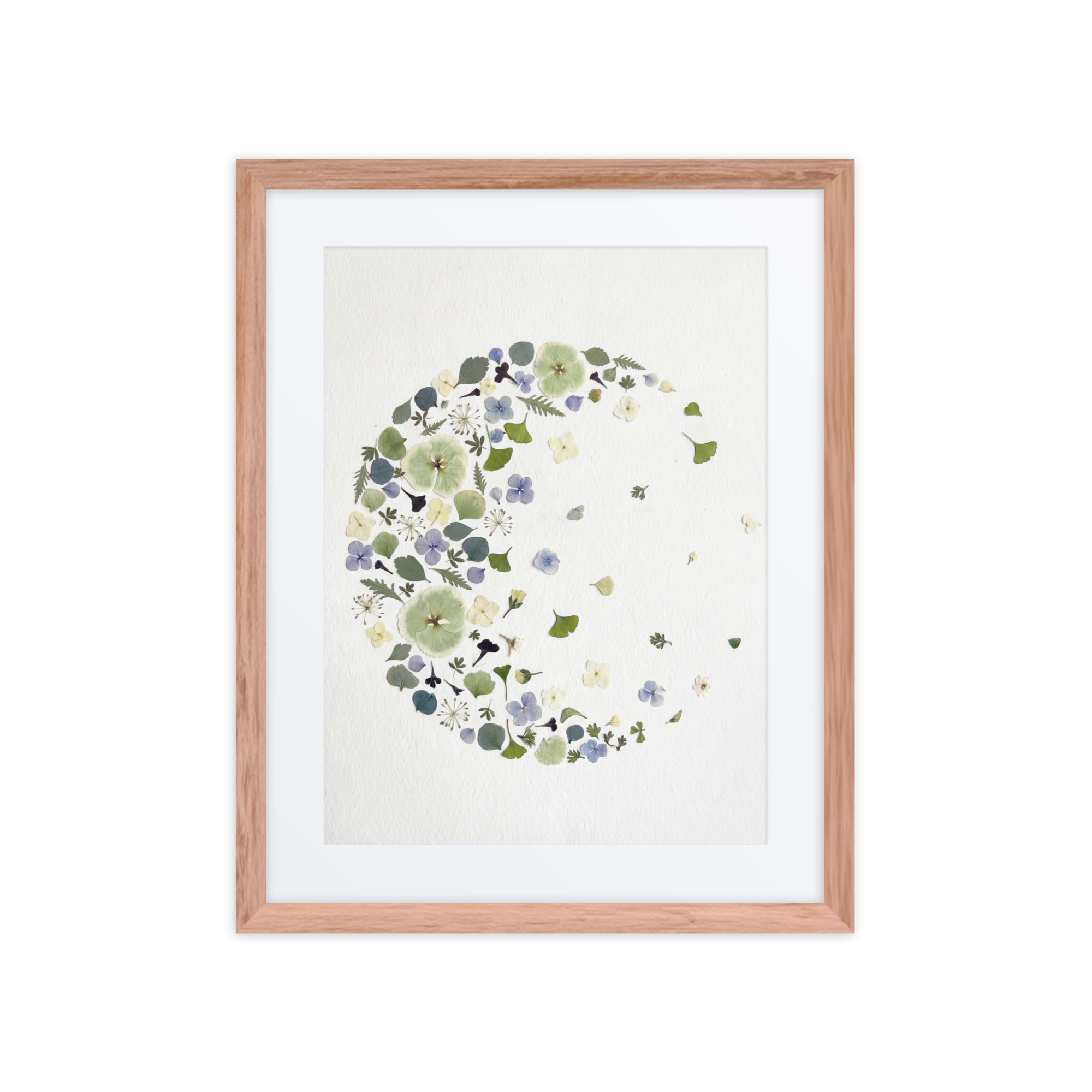 Limited edition fading moon dried flower art for Ramadan, photographed with subtle depth and framed in red oak with a white mat.